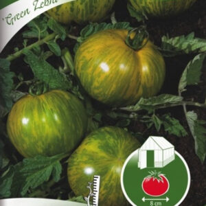 Green Zebra