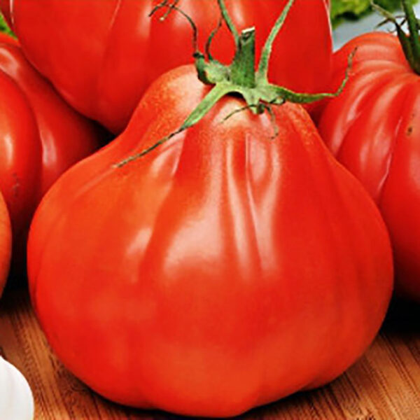Red Pear