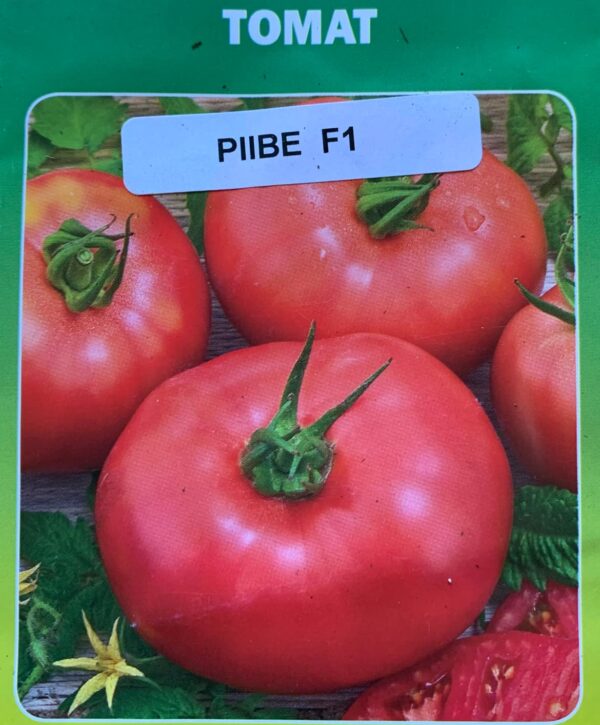 Piibe